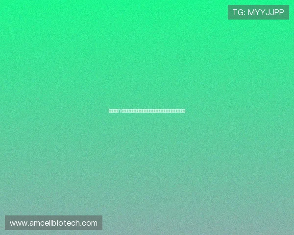 梦幻诛仙1重温经典仙侠情缘再启热血修真之旅全新篇章共谱三界传奇